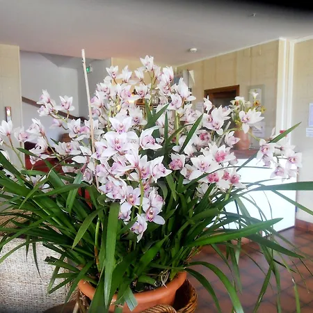 Andaine 酒店 La Ferte-Mace