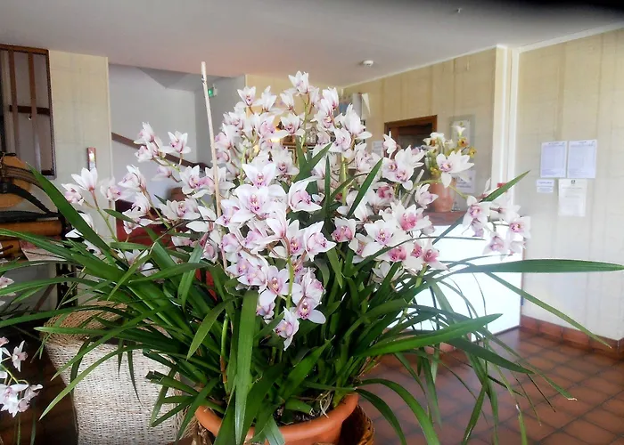 Andaine Hotel La Ferte-Mace