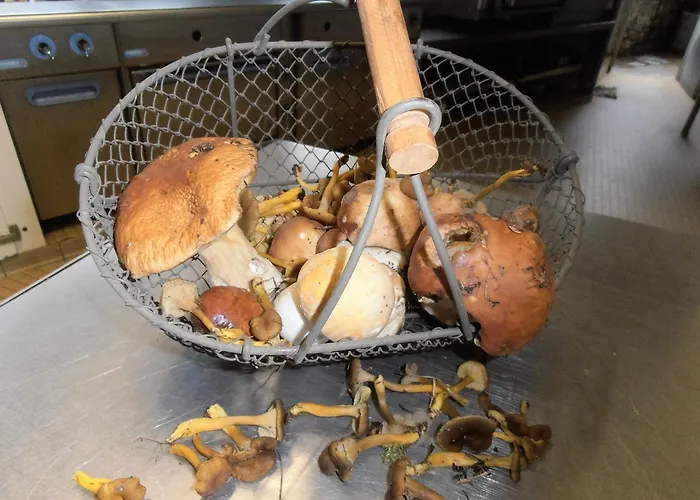 Hotel Andaine La Ferte-Mace