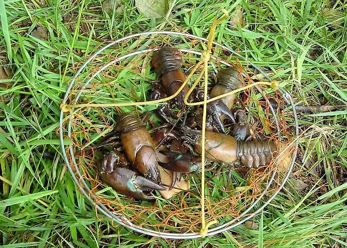 Andaine Hotel La Ferte-Mace